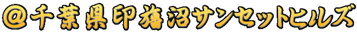 ����t����׏��T���Z�b�g�q���Y